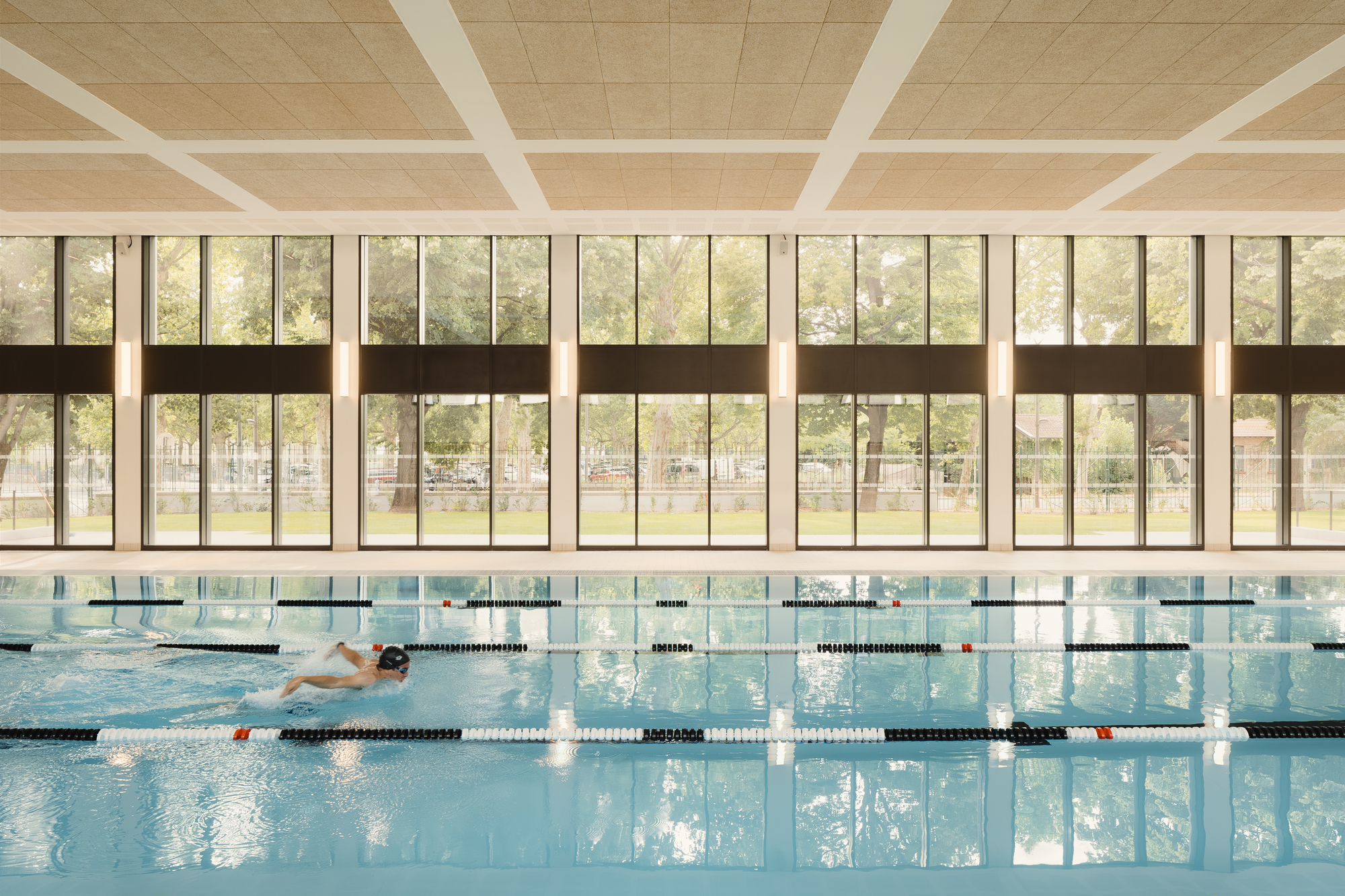 225d1079-77e3-4fe8-9185-77eb5b5d714f