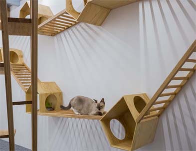 پناهگاه حیوانات